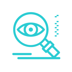 Vision Icon