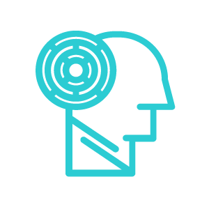 Platform Icon